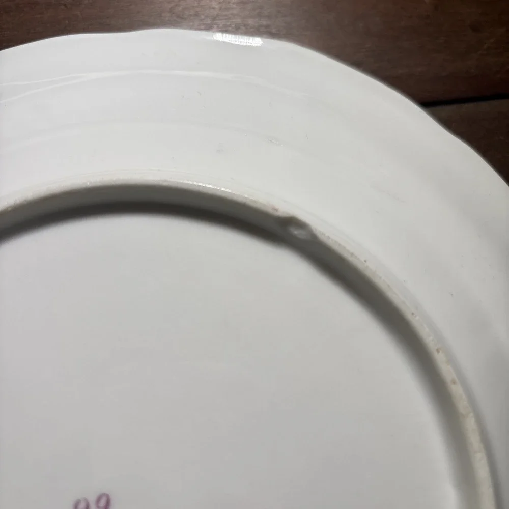 Vintage Porcelain Plates Lot If Two. Floral,‎ Gold Trim. 8.5 Inches.